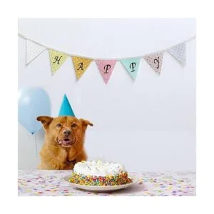 Waynoda 800 piezas de 10 hojas de calcomanías con_4