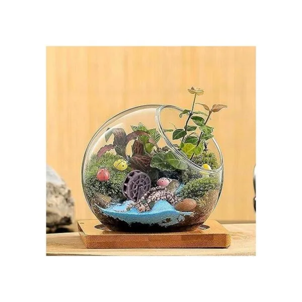 Cayway 16 piezas de accesorios de jardín de hadas figuras_7