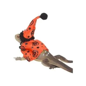 ADOGGYGO Conjunto de bufanda de sombrero de Halloween de_4