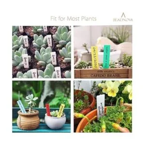 Beadnova Etiquetas de jardín 300 unidades plástico_5