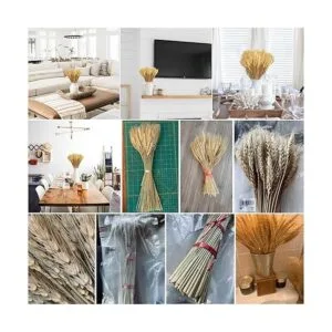 Uieke Tallos de trigo secos de 17.7 pulgadas 100 tallos_5