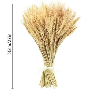 Uieke Tallos de trigo secos de 17.7 pulgadas 100 tallos_6