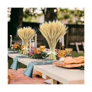 Uieke Tallos de trigo secos de 17.7 pulgadas 100 tallos_4