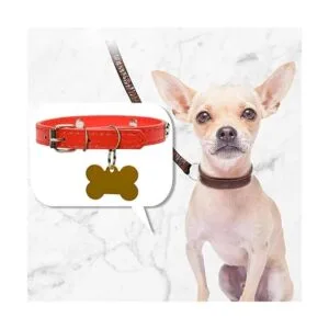 90 anillos en D de metal de colores surtidos en forma de_6