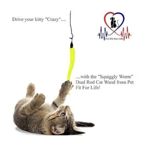 Pet Fit For Life 5 piezas de juguete para gatos y gatitos_4