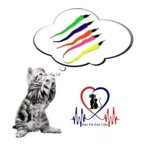 Pet Fit For Life 5 piezas de juguete para gatos y gatitos_5