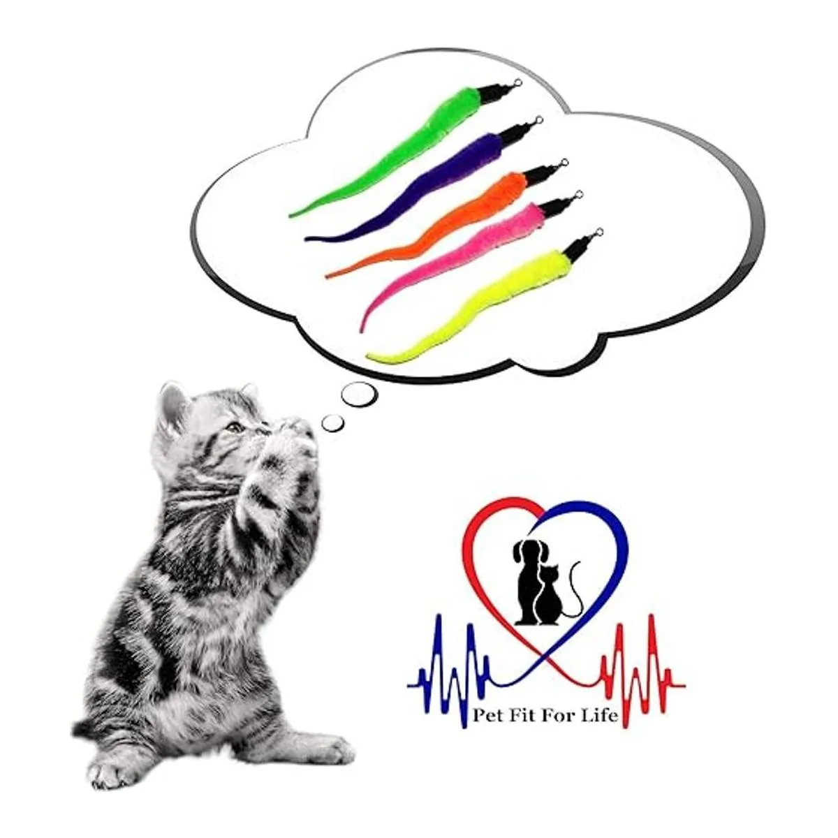 Pet Fit For Life 5 piezas de juguete para gatos y gatitos_5