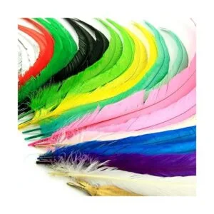 THARAHT 50 plumas de cola de gallo naturales a granel_6