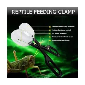 Pinzas de acero inoxidable para reptiles de kathson_5