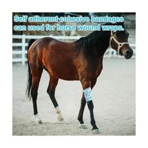 Lindo envoltorio veterinario 12 unidades a prueba de_6