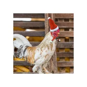 GABraden Paquete de 2 sombreros de pollo de Navidad y_6