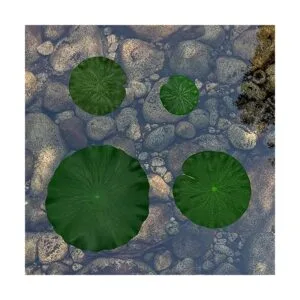 Decoración de hojas de loto de espuma flotante artificial_7