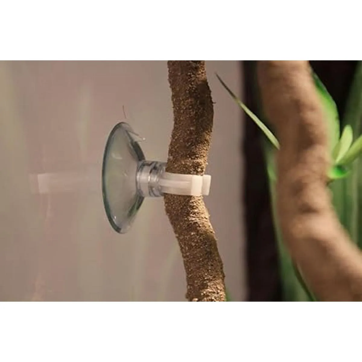 emours Animal Pequeño bendabranch Selva Vine Decoración_4