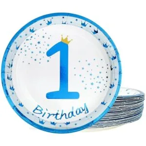 Platos para fiesta de cumpleaños de 1st Happy Birthday 9_1