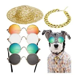 Disfraz de gato y perro gafas de sol retro para mascotas_1