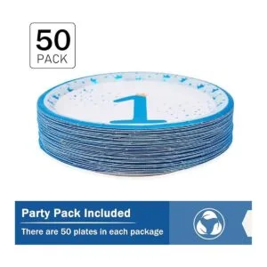 Platos para fiesta de cumpleaños de 1st Happy Birthday 9_2