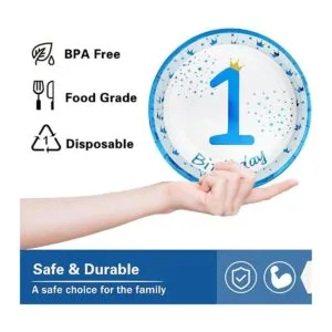 Platos para fiesta de cumpleaños de 1st Happy Birthday 9_4