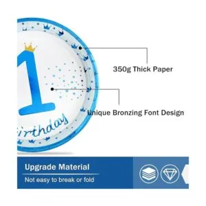 Platos para fiesta de cumpleaños de 1st Happy Birthday 9_5