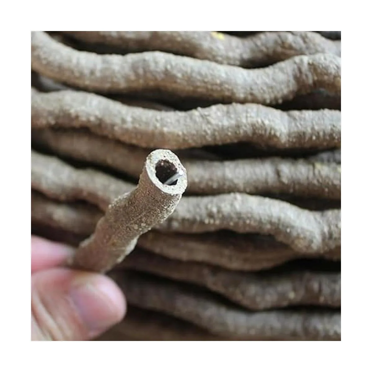 emours Animal Pequeño bendabranch Selva Vine Decoración_3