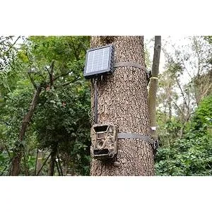 WingHome Cable de alimentación de 12 V6 V macho de 0.157_5