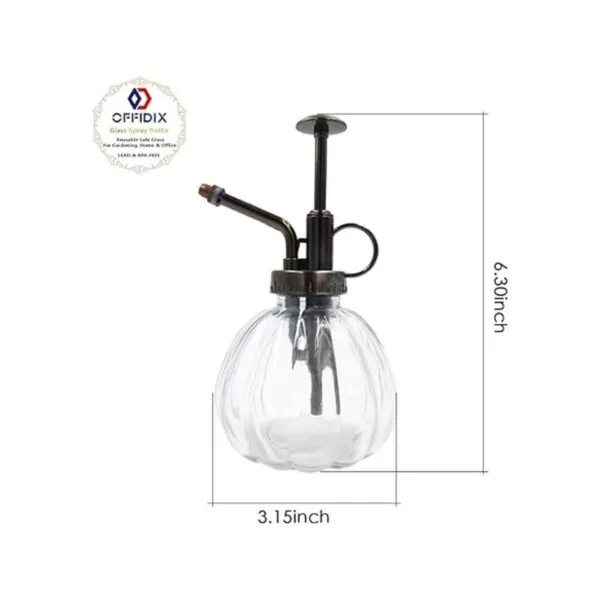 OFFIDIX Botella de riego de cristal transparente 6.3_2