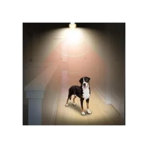 AmeriTop Bombilla con sensor de movimiento 2 unidades_6