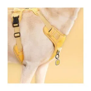 Pawaii QR Code Pet ID Tag Dog Tag with QR Code Silent_6