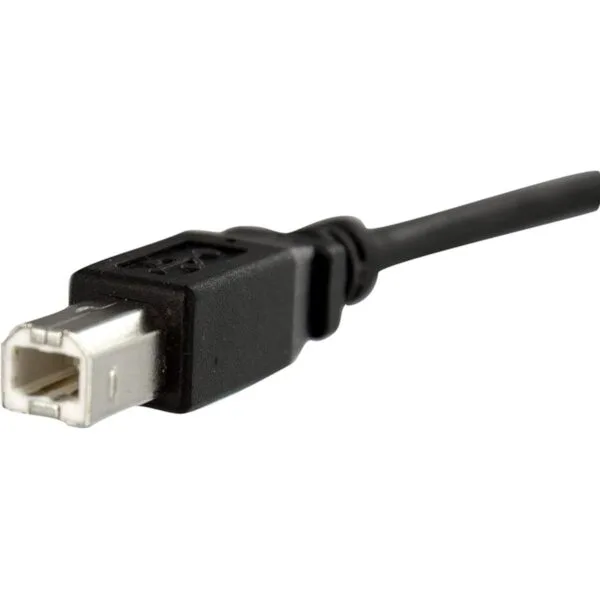 StarTech. com Cable USB B a B FM USB tipo B a USB tipo_3