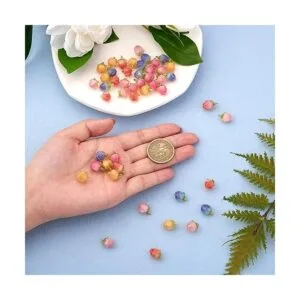 BEEFLYING 10 dijes de acrílico transparente con flores_3