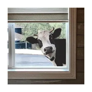 Bonito adhesivo para ventana de vaca ventana de_1