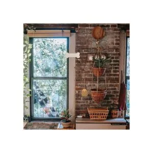 ARTIBETTER Placa de madera de hueso de perro en blanco con_5