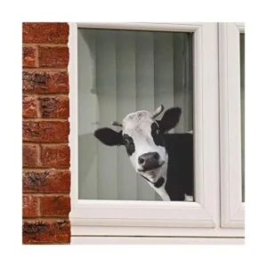 Bonito adhesivo para ventana de vaca ventana de_2