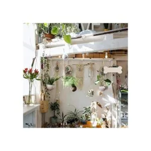 ARTIBETTER Placa de madera de hueso de perro en blanco con_7