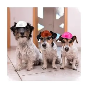 40 piezas de plástico mini sombreros de vaquero_4