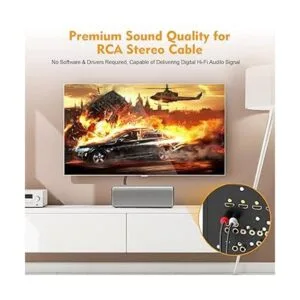 HOSONGIN Cables RCA de 3.3 pies paquete de 2 cables_3