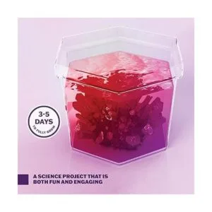 Kit de cultivo de cristal para niños regalos de_6