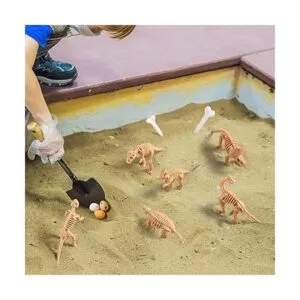 24 piezas de dinosaurio fósiles de esqueleto de dinosaurio_6