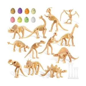 24 piezas de dinosaurio fósiles de esqueleto de dinosaurio_1
