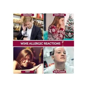 WeThinkeer Filtros de vino 12 unidades para eliminar_2