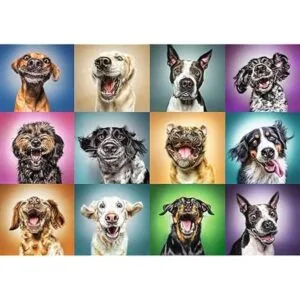 Trefl Rompecabezas de 1000 piezas diseño de perro_2