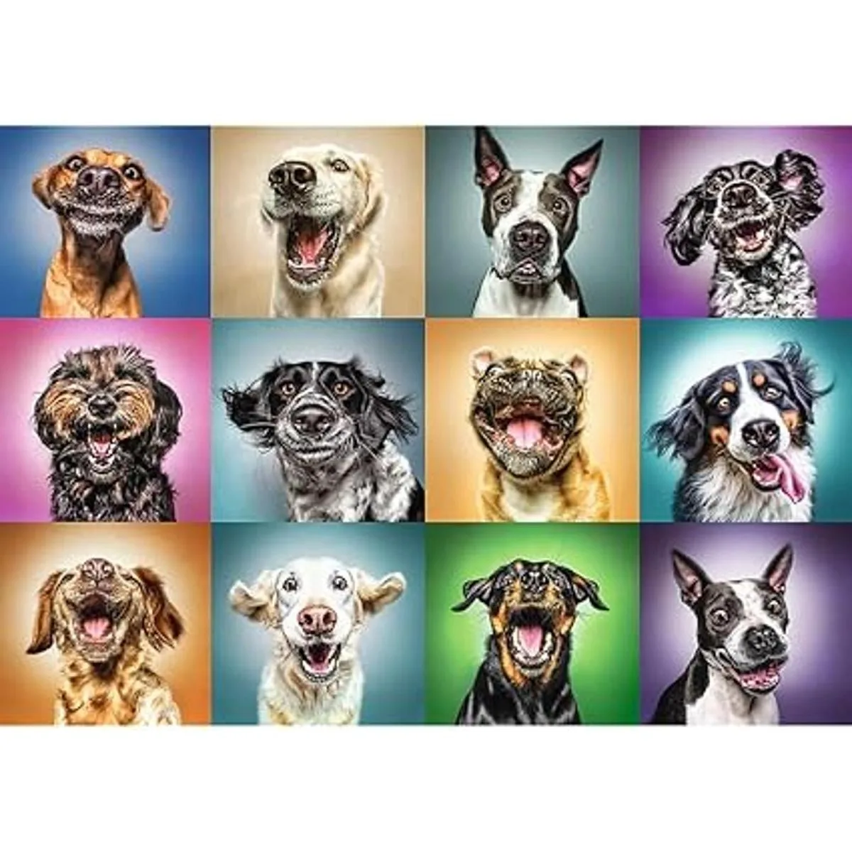 Trefl Rompecabezas de 1000 piezas diseño de perro_2