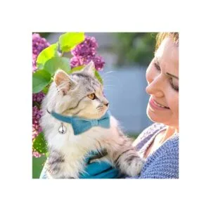 4 piezas de collar de pajarita para gato con campana_3