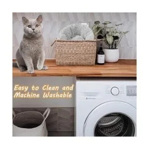 Camas para gatos de interior cama para perros pequeños de_3