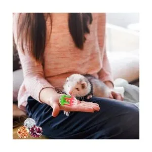 HAICHEN TEC Juego de 11 juguetes para hurones bolas_6