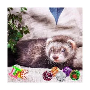 HAICHEN TEC Juego de 11 juguetes para hurones bolas_7