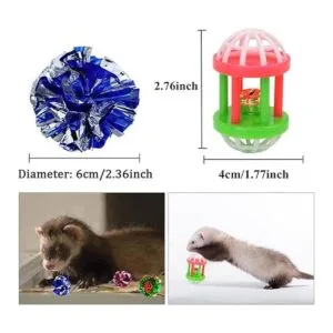 HAICHEN TEC Juego de 11 juguetes para hurones bolas_2