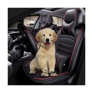 Sonku Juego de 2 correas de seguridad de acero a prueba_5