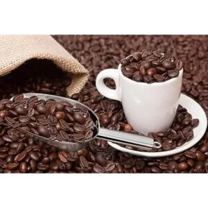 Cucharada de hielo de 6.8 fl oz de acero inoxidable PP_7