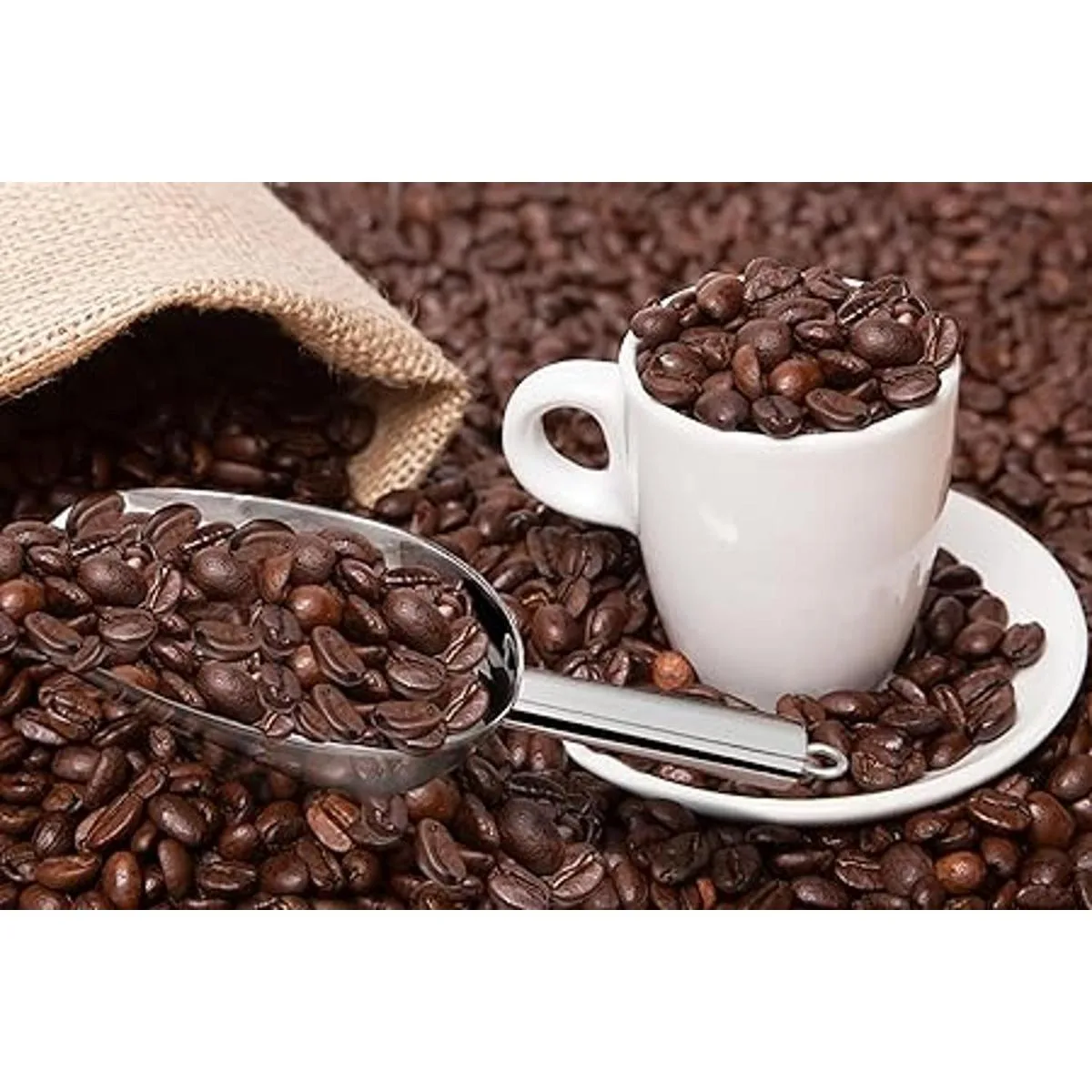 Cucharada de hielo de 6.8 fl oz de acero inoxidable PP_7