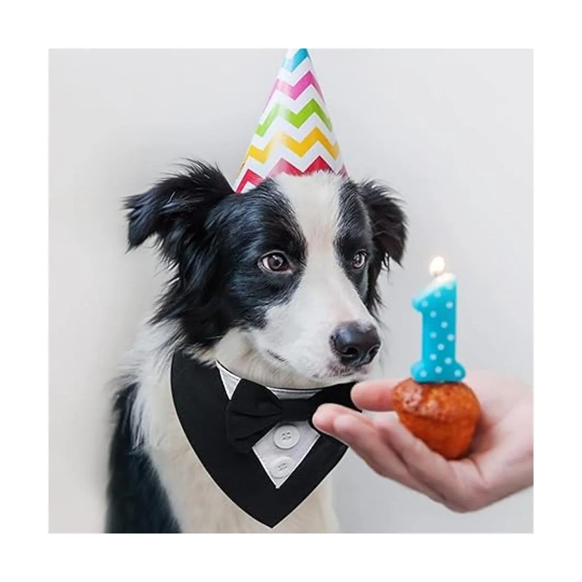 FUAMEY Esmoquin para perro collar formal de boda para_4